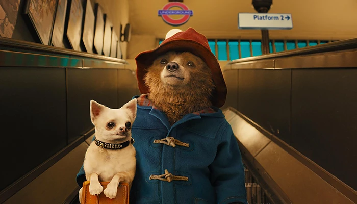 Paddington 3: El icónico osito peruano regresa en una nueva aventura