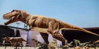 ¡Dino Aventuras, el parque temático de dinosaurios más grande de Latinoamérica, abre sus puertas!